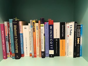 The Integrative Approach. shelf